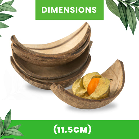 Natural Real Coconut Boat Shell (11.5 x 6cm)