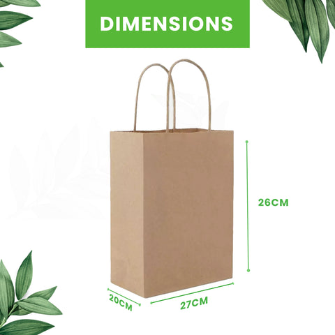 Kraft Brown Paper Bags with Twisted Handles | Eco-Friendly Shopping Bags | 26x20x27cm