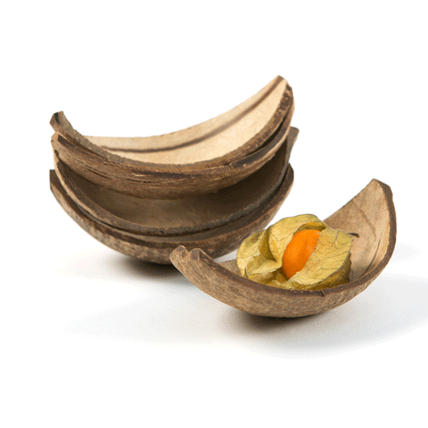 Natural Coconut Boats | Real Coconut Shell Serving Boats | Sustainable Serveware