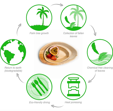 How are palm leaf plates made?