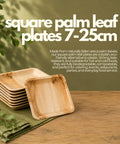 Square palm leaf plates on a wooden table with greenery, text describing the product.