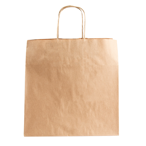 Natural Kraft Brown Paper Bag with Reinforced Twisted Handles (L26 x W20 x H27cm)