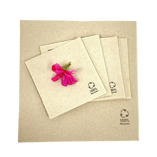 100% Recycled Eco Cocktail Napkin 2ply - 100 pieces